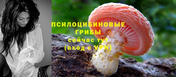 каннабис Белокуриха